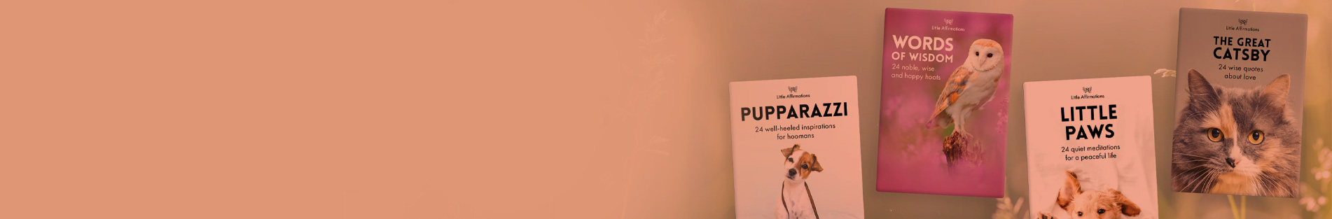 Affirmations Banner